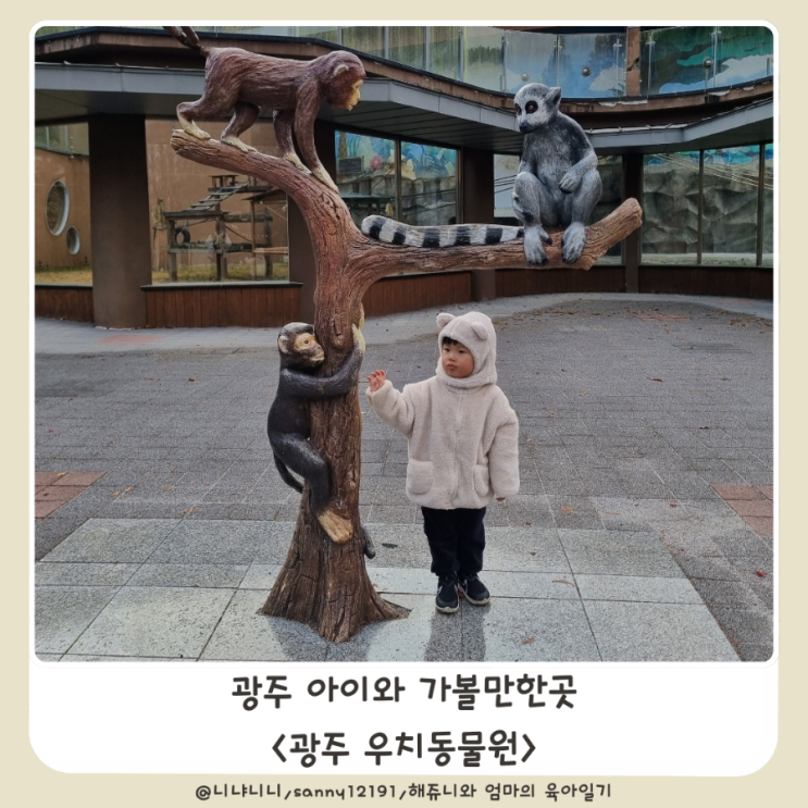  광주 아이와 가볼만한곳 우치동물원 기린 코끼리 사자 관람코스