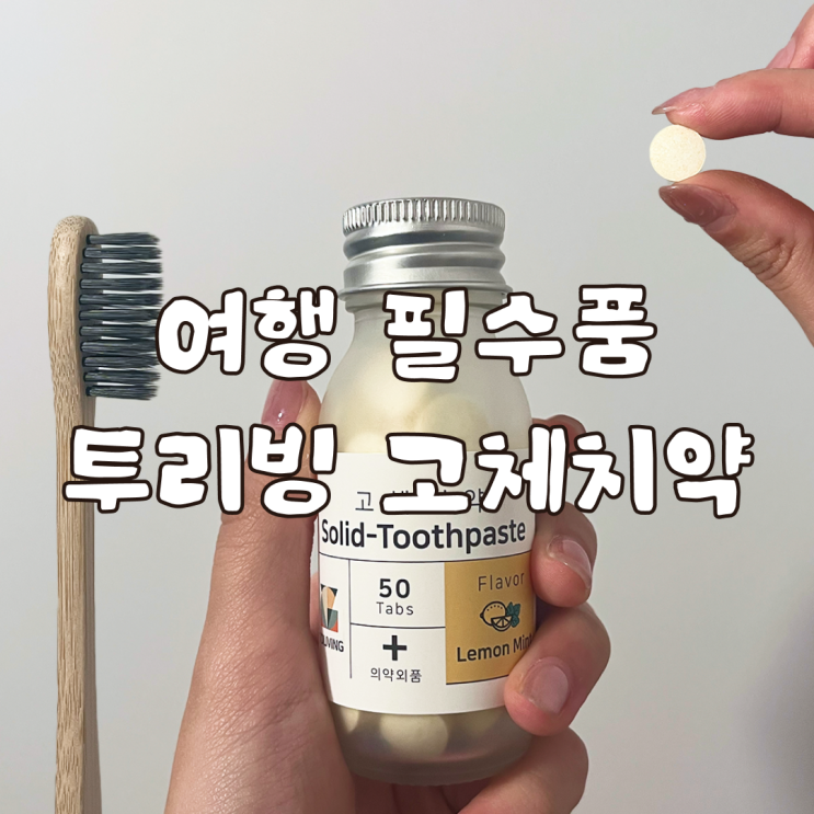  여행 필수품 투리빙 휴대용 고체 치약 솔직 후기