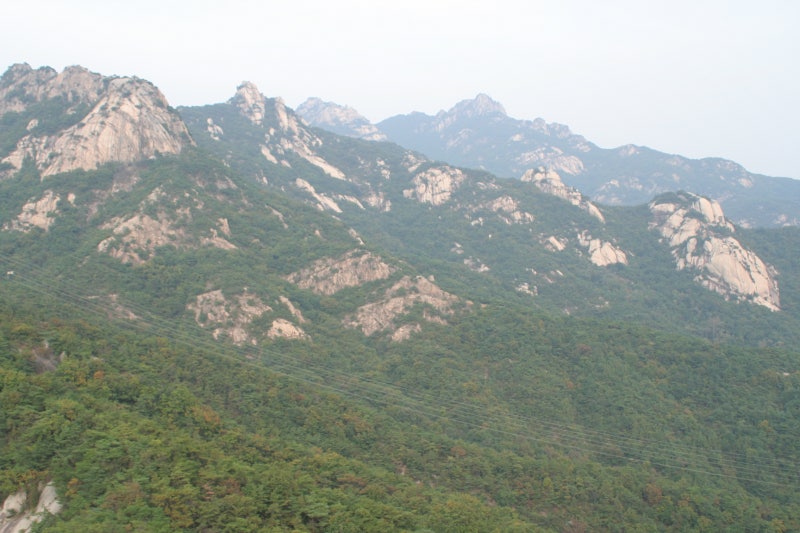 우체국 보험상품의 역사