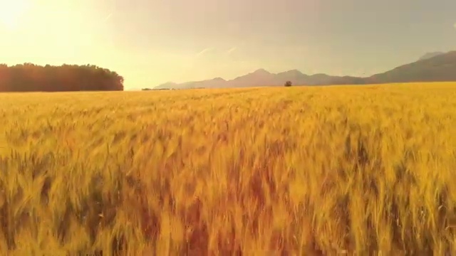  과천시 별양동,부림동,원문동 청년배관 bye bye!