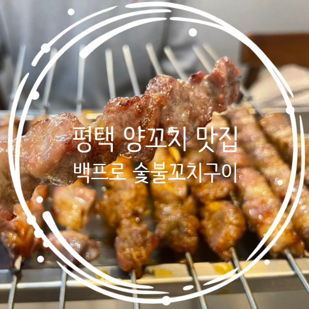  평택양꼬치 맛집 백프로숯불꼬치구이 전문점