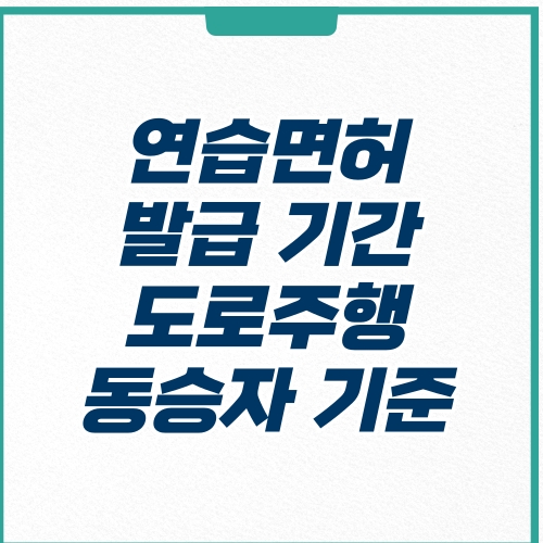  연습면허 발급 기간 비용 도로주행 보험 동승자 기준