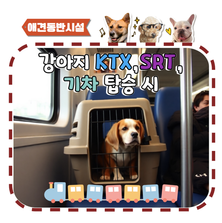  강아지 ktx, 기차, STR 탈 때 알아두면 좋은 팁