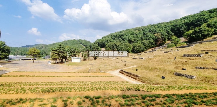  수도권 가장 저렴한 매장묘와 가족묘
