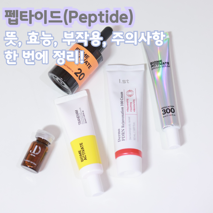  펩타이드 효능 부작용 주의사항 총정리