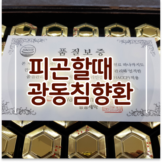  직장상사명절선물 기운없을 때 보양 침향단 프리미엄 총정리
