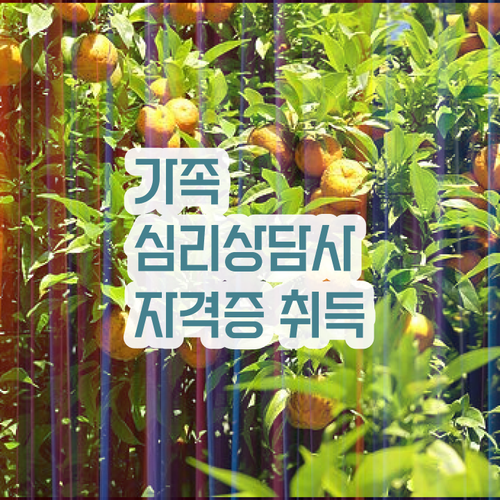  , 가족심리상담사 자격증 학습한 후기 요점정리 최단기간 취득한 과정