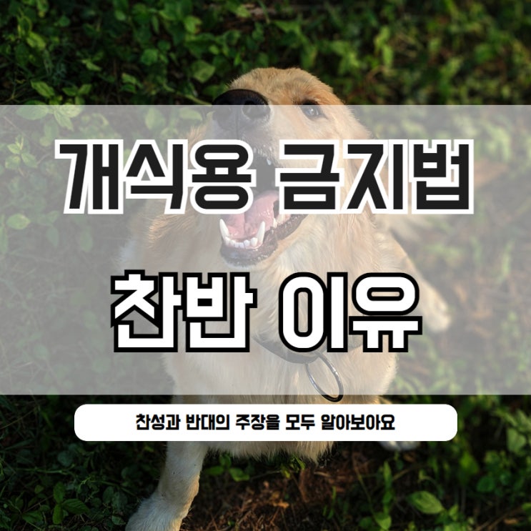  개식용 금지법 찬성 반대 이유 근거 쟁점까지