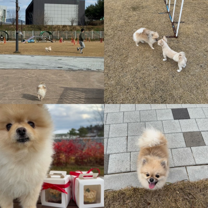 사진 10