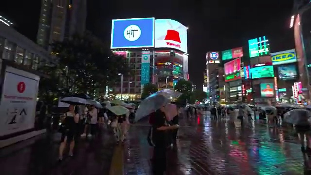  초등 4학년 엘리하이로 학습 시작
