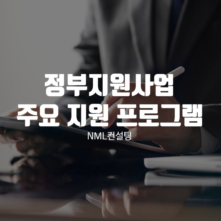  정부지원사업 주요 지원 프로그램과 특징