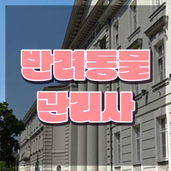  반려동물관리사 학원 , 반려동물관리사 자격증 간단하게 합격한 팁 및 취업정보