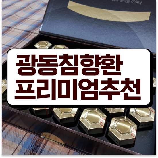  기운없을 때 면역력 침향환 프리미엄 성분 찾아보기
