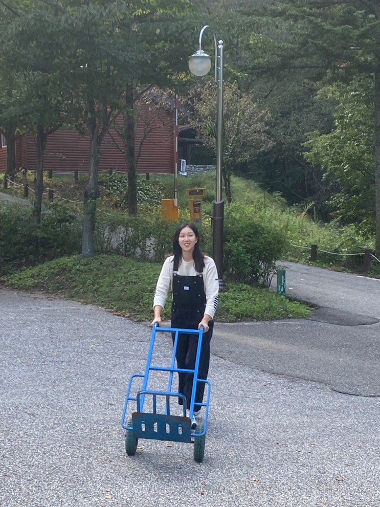  강원도 강릉 | 대관령 자연휴양림 야영장 첫 캠핑 후기, 명당 추천