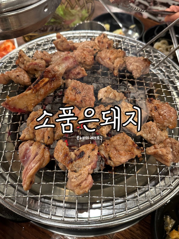  양천구 신월동 소품은돼지 맛있는 흑돼지 양념 한판 가족 외식 추천 후기