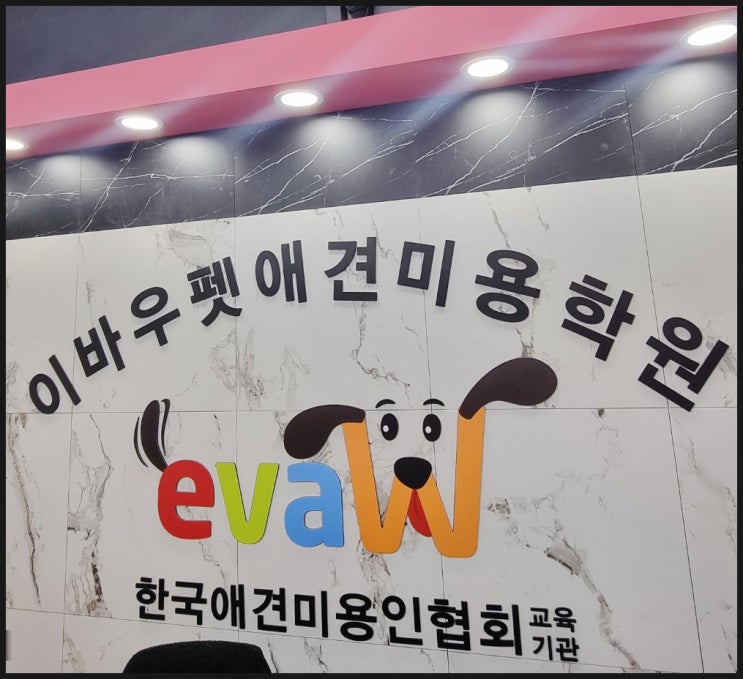  용산구 애견미용학원 창업 취업의 경쟁력을 높이는 교육