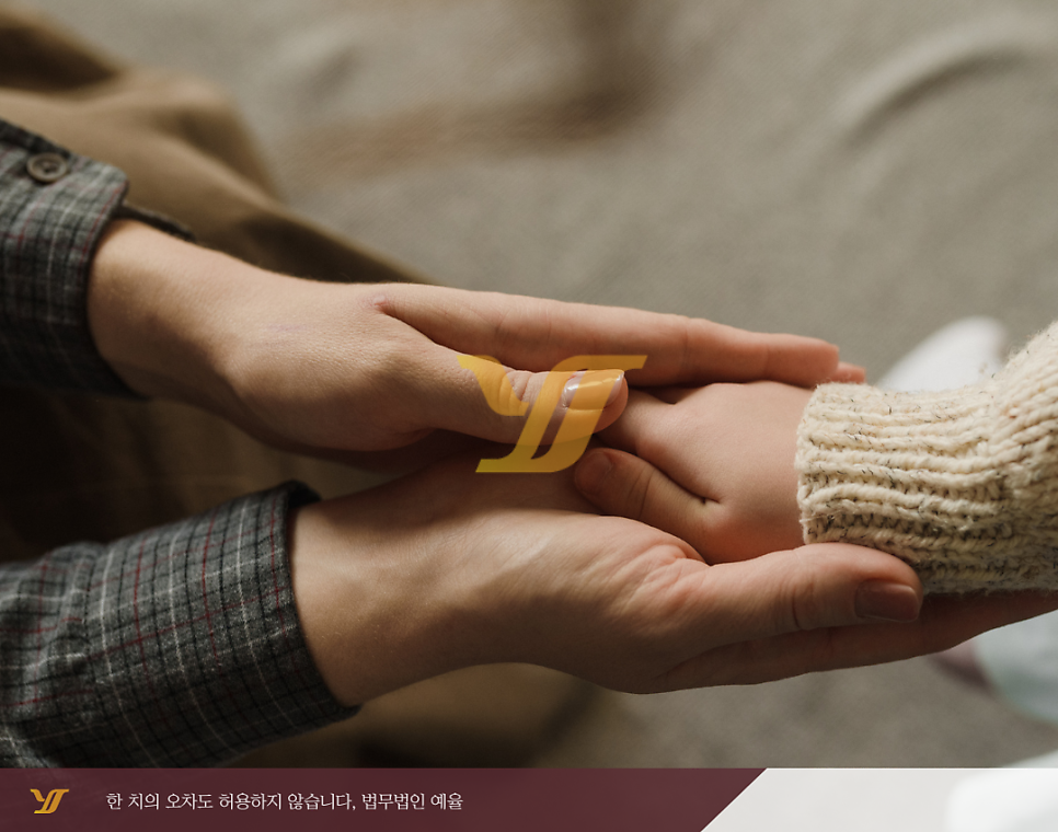 인천양육비변호사 양육비 강제집행 절차 똑똑하게 해결하는 법 <Tip> 관련 사진