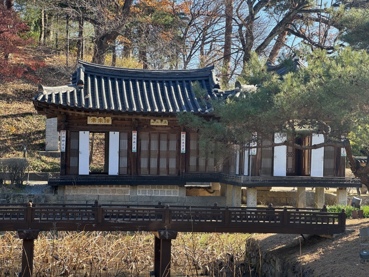  [이음을위한공유]국가유산방문캠페인: 강릉당일치기 여행코스와 아르떼뮤지엄 무료 관람 방법