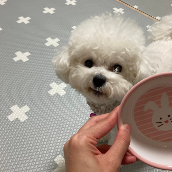 사진 4