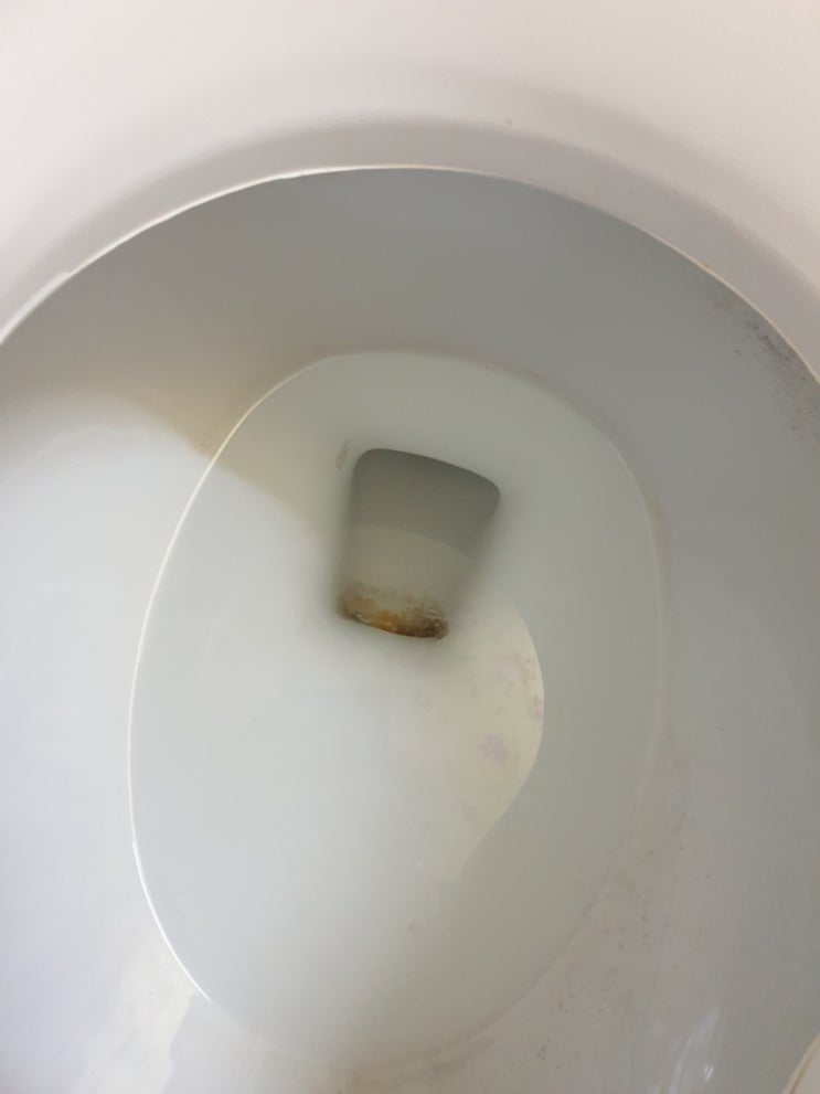 우리집 변기에 생긴 요석, 콜라로 간단하게 제거하기! 우리집 변기에 생긴 요석, 콜라로 간단하게 제거하기!