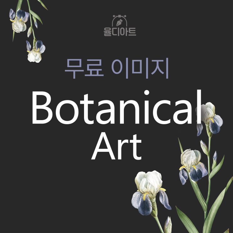  무료 이미지 보태니컬 아트 꽃 일러스트