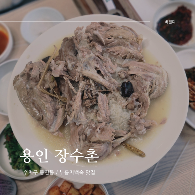  용인 장수촌 고기리 계곡 누룽지백숙 맛집