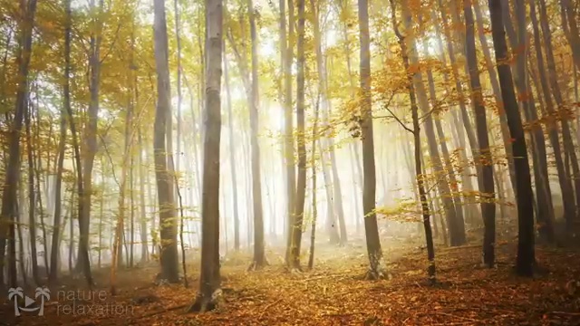  가족해외여행지 , 여행 전문가 가 직접 정리해드릴깨요 (무료 서비스)