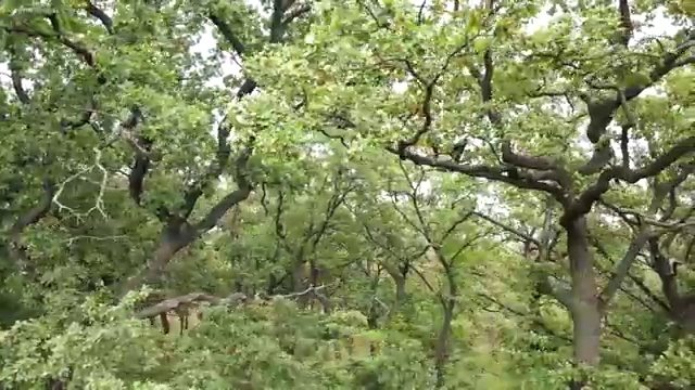  , 플로리스트 자격증 독학으로 취득한 방법 및 향후 전망