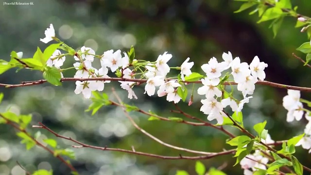  동남아여행지추천 , 여행 전문가 가 직접 정리해드릴깨요 (무료 서비스)