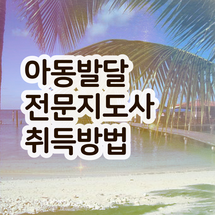  아동발달전문지도사 합격률 , 아동발달전문지도사 자격증 온라인으로 합격한 전략 및 취업