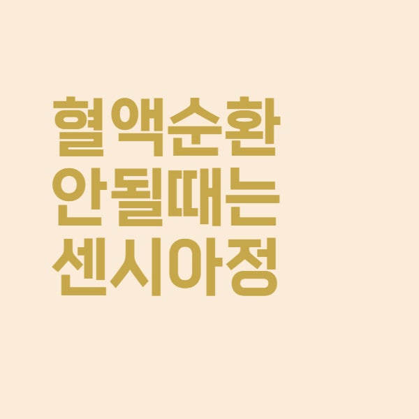 혈액순환 안될 때 약 센시아 효능 약국 가격 총정리했습니다