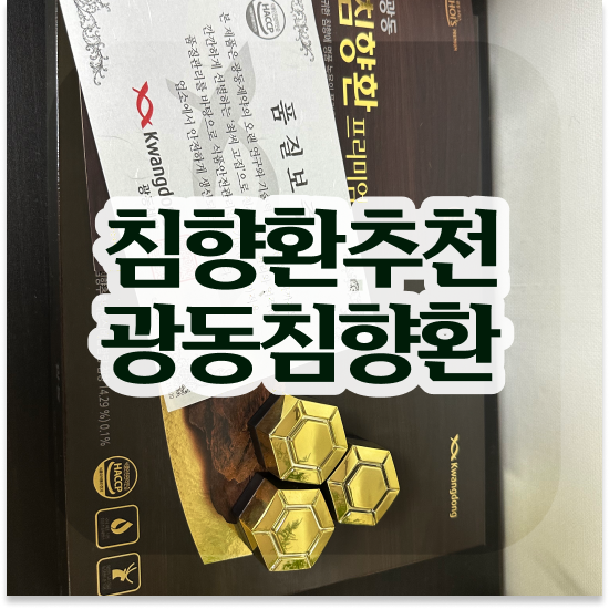  광동 침향환 프리미엄 추천 기력찾기 살펴보기