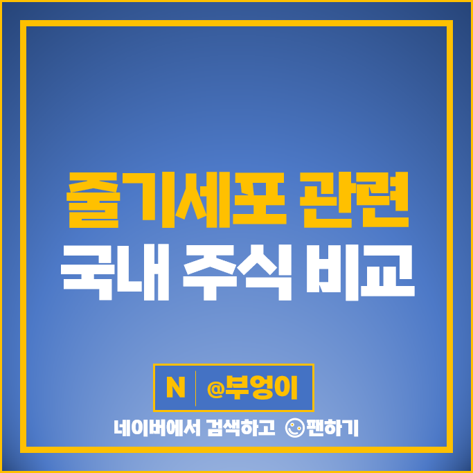 줄기세포 관련주 코아스템 켐온 주가 테고사이언스 엑셀세라퓨틱스 주식 줄기세포 관련주 코아스템 켐온 주가 테고사이언스 엑셀세라퓨틱스 주식