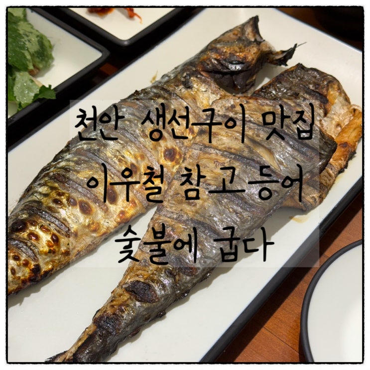  [천안] 성성동 생선구이 맛집, 이우철참고등어숯불에굽다