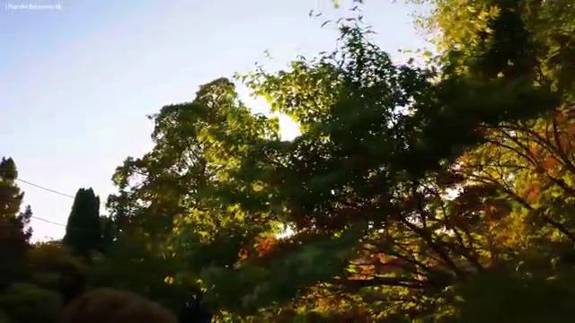  TV 인터넷교체 , 혜택 조건 한번에 체크해보세요