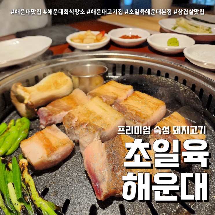  해운대 고기집 초일육(feat. 숙성 삼겹살 해운대역 회식장소 )