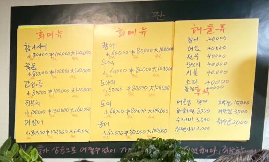 동해참가자미 사진 6