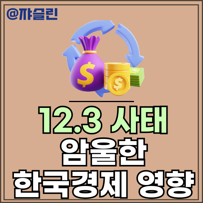 12.3 <b>비상계엄 내란</b>사태 한국경제 상태 _우리가 위험하다