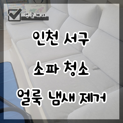  인천 소파 청소 아이 소변 냄새 제거 얼룩 제거