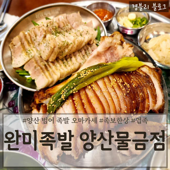  양산 범어족발맛집 남도식한상 족발 오마카세 '완미족발 양산물금점'