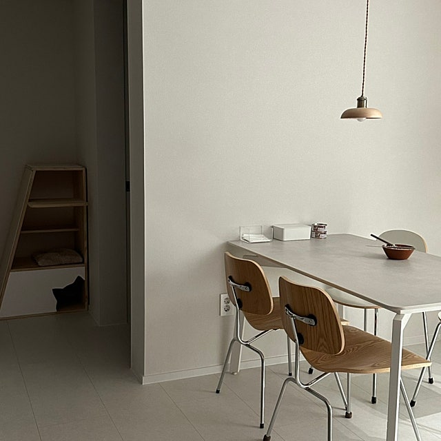 역시 내집이 최고야