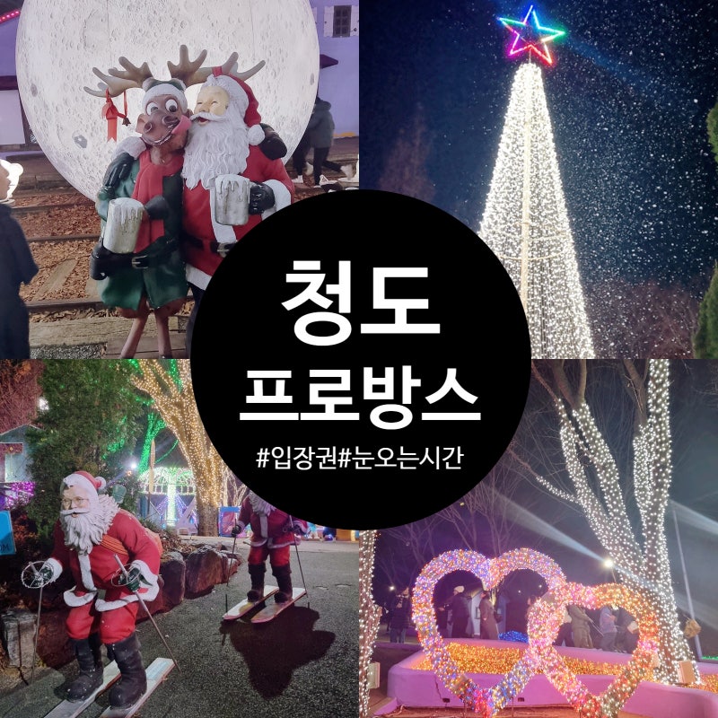 청도 프로방스 빛축제 산타 크리스마스 썰매 대구근교 아기랑 가볼만한곳