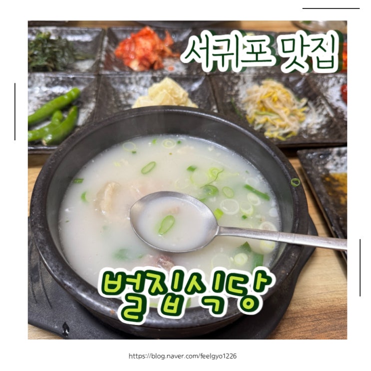  서귀포 도가니탕 맛집 현지인맛집으로 유명한 벌집식당