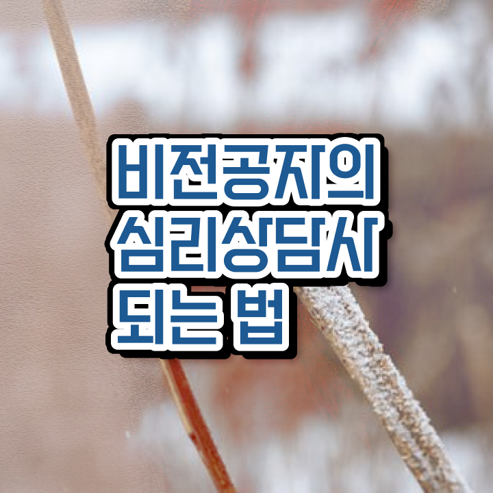  정신분석 상담이론 , 심리상담사 자격증 학습한 후기 공유드려요