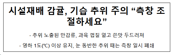 시설재배 감귤, 기습 추위 주의 “측창 조절하세요” 시설재배 감귤, 기습 추위 주의 “측창 조절하세요”