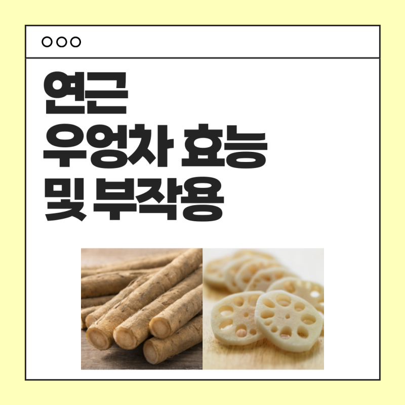 연근 우엉차 효능 및 부작용, 그리고 만드는 법까지!