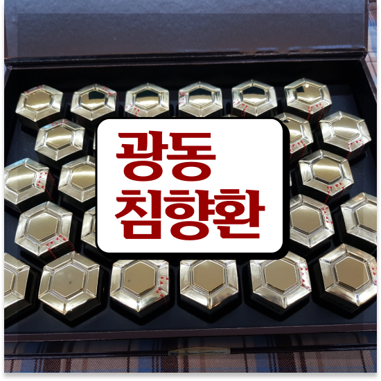  광동 침향환 프리미엄 추천 보양 준비했죠