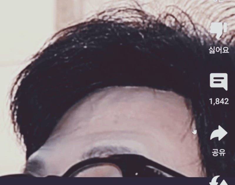 한동훈 가발 논란 그 진실은?