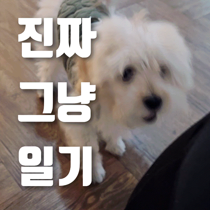  진짜 그냥 일기 | 헬린이 운동어플깔다, 군고구마(소소한 행복), 미소된장 가지덮밥, 일본 오이무침 소스