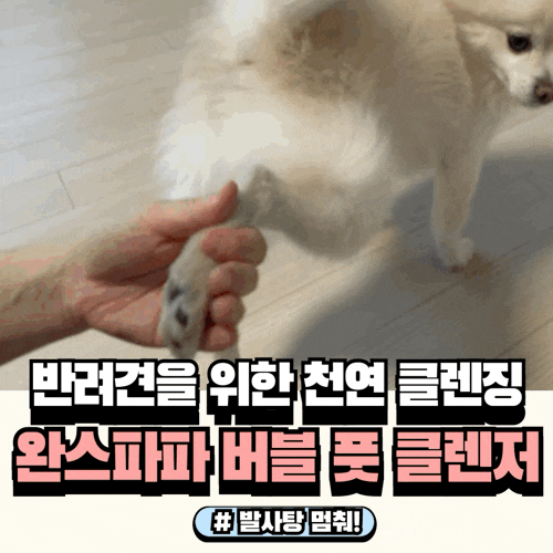  산책후발사탕강아지발세정제 완스파파 버블 풋클렌저
